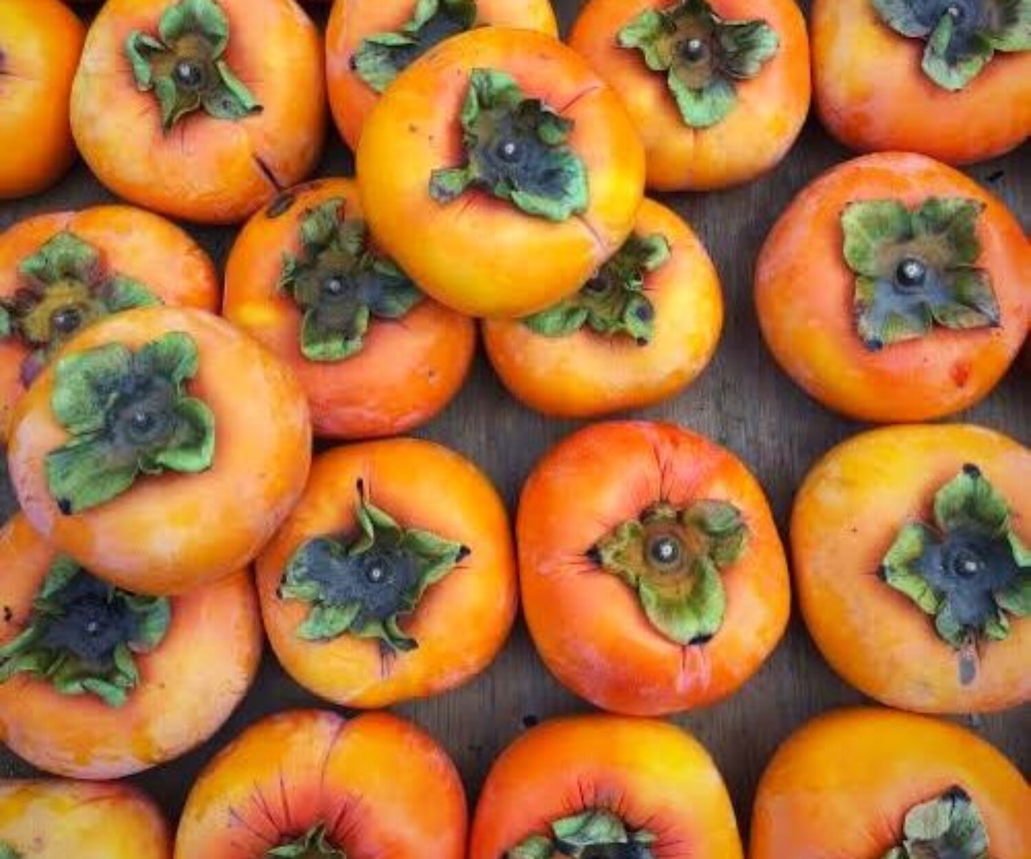 9a12dde7 f252 4952 9fff 100a94d81d41