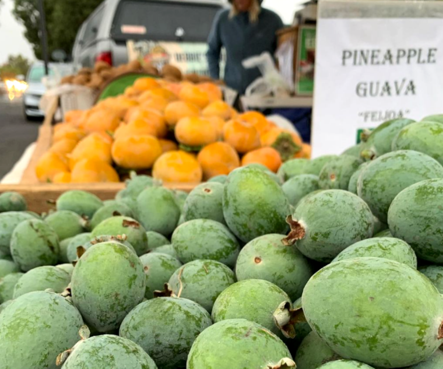 e71ff68e 6651 2cb8 f36b 983b54f8d94f