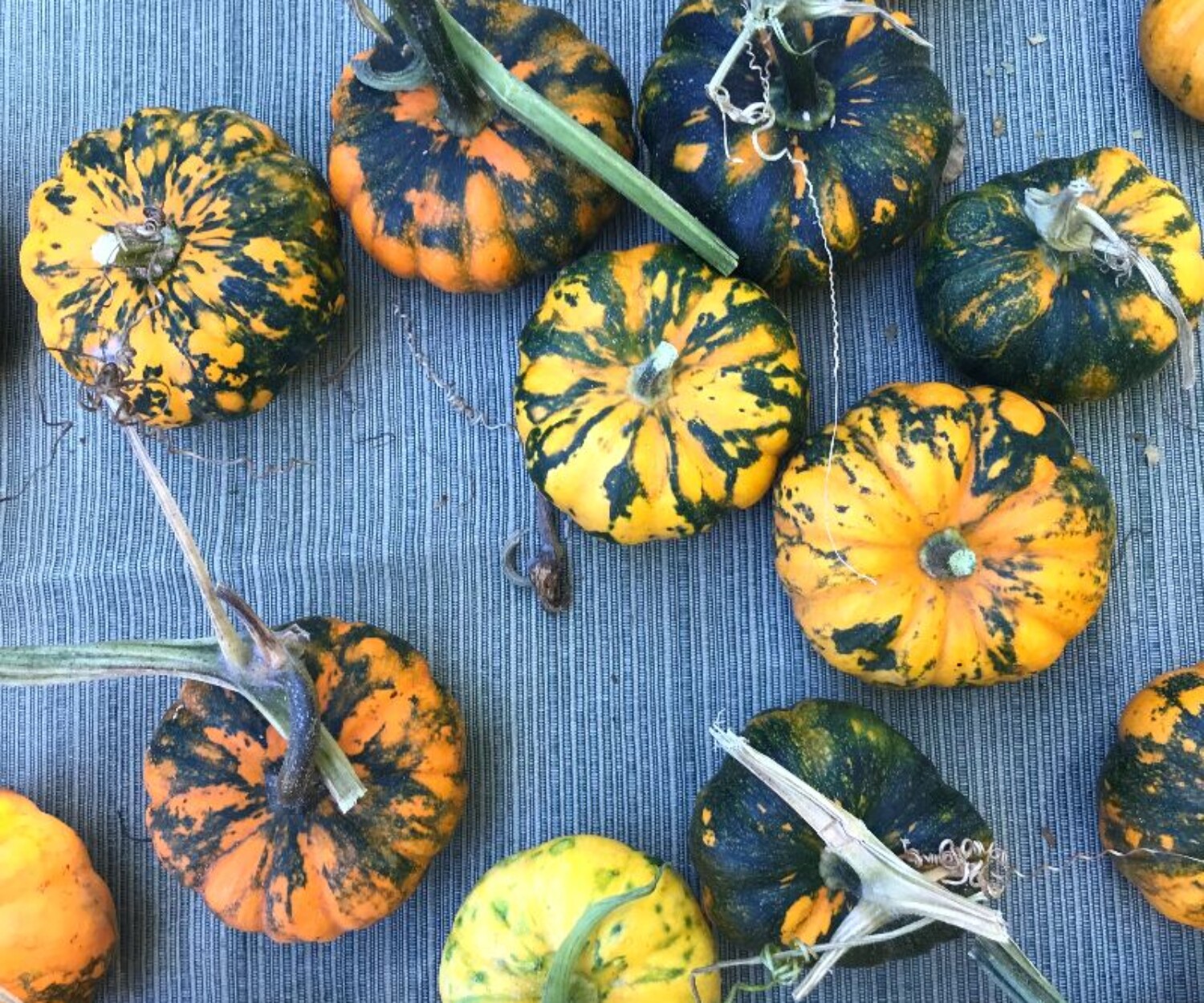 67d2f9f1 8dec 9b52 19ba 77bf011577d9