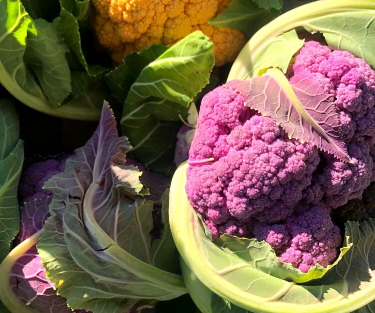 ae6e80f2 d056 a777 be4d f6cabde0c8d1