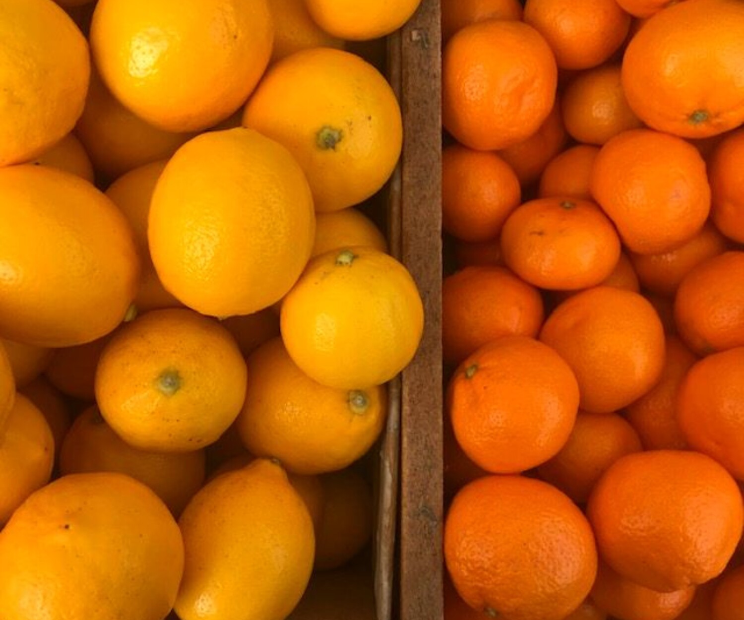 e2c3ce26 b19d 46c7 9214 4ed73828e57b