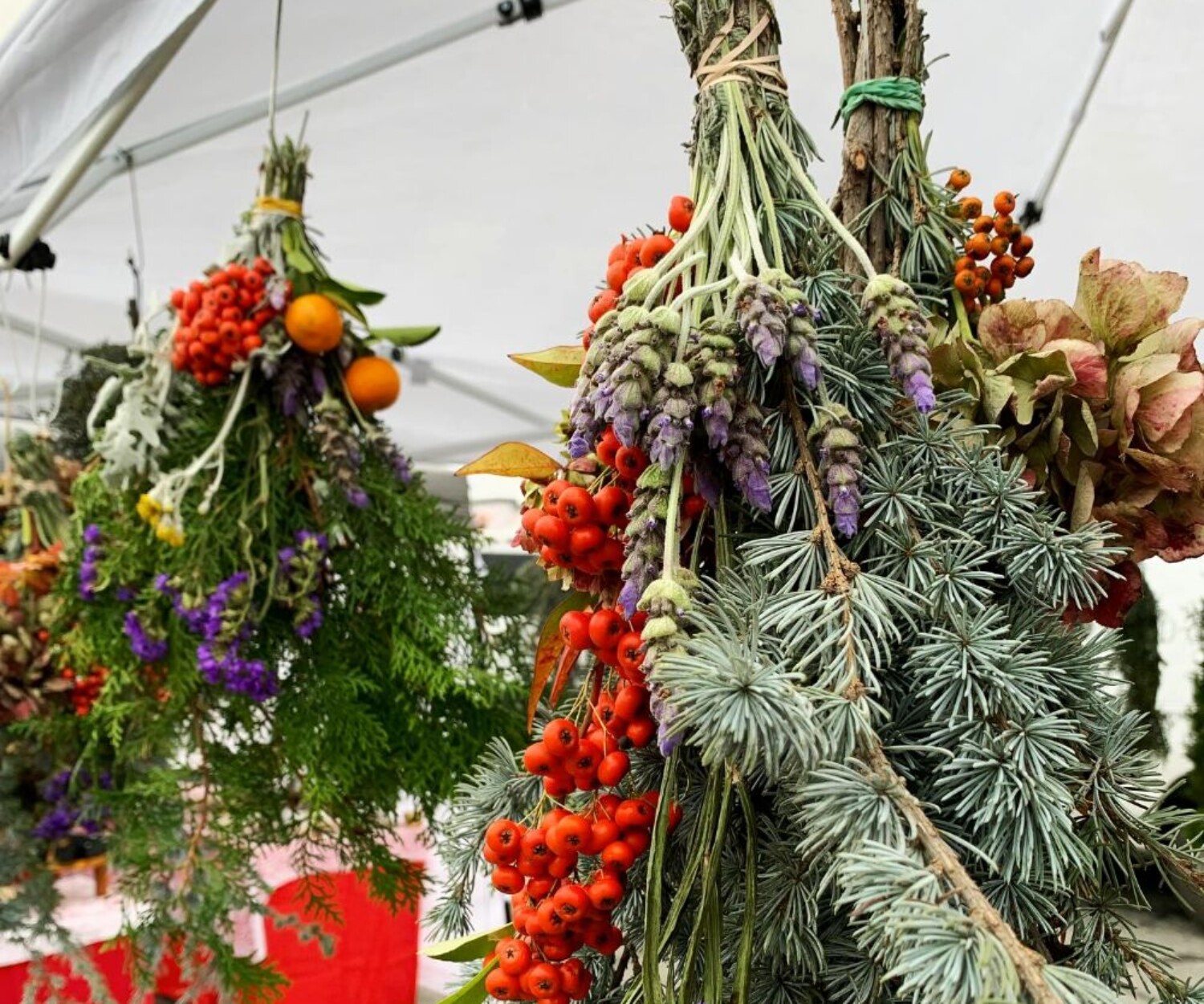 654d5eff 28c1 b2fd 35cc b3cf0b3a823d