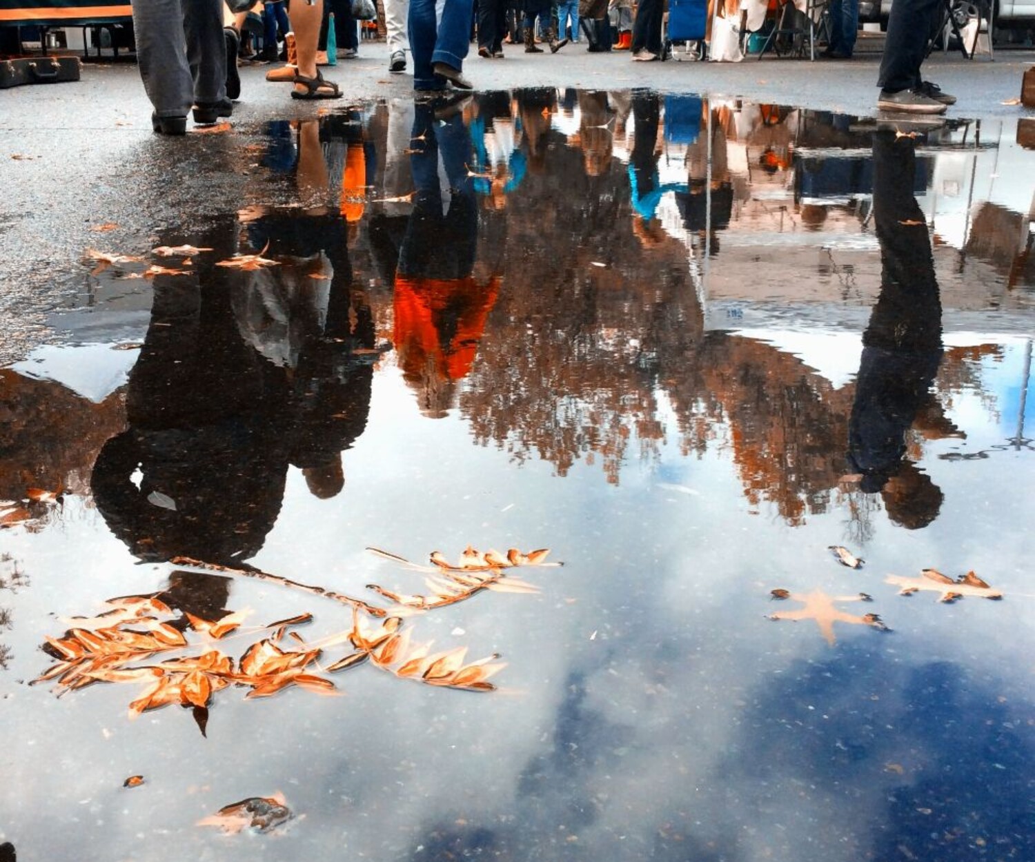 7aa7eff1 74c5 bf4f 8d22 07de0b0986ef