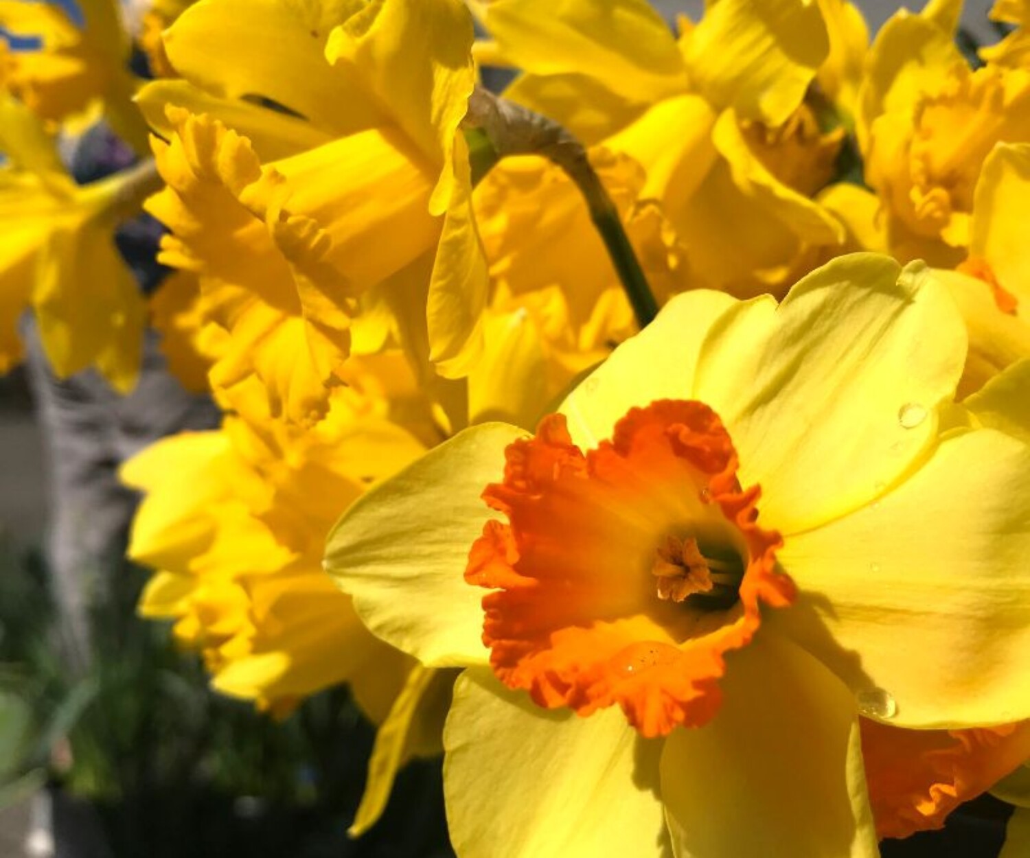 06f954b9 b9d3 740d a77b 6d15fc479a27