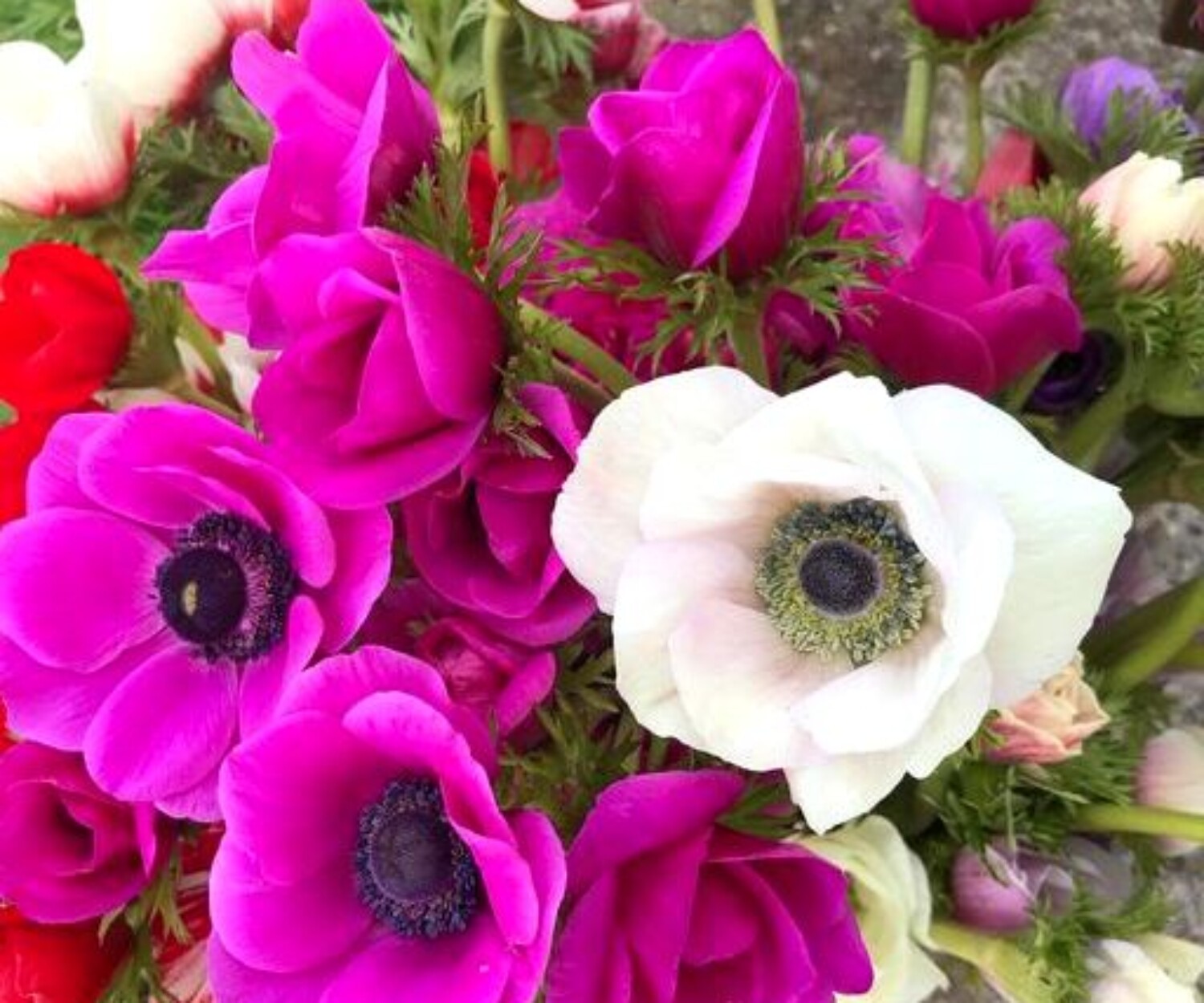 c6d168eb adcc cca5 e4b1 1e5aeb7f529f