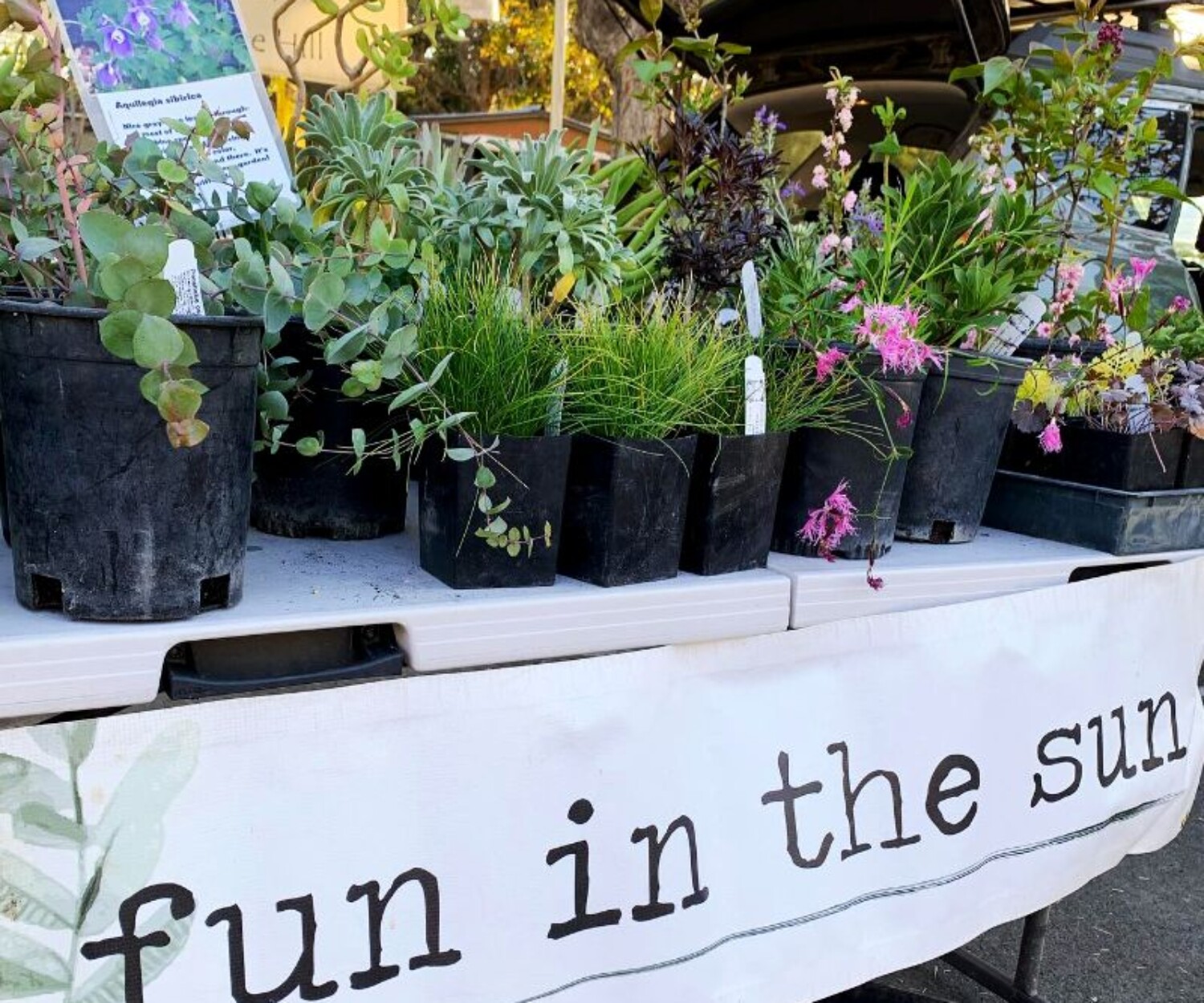 673df97d 974e f53e 0ba7 0cf769ed6a14