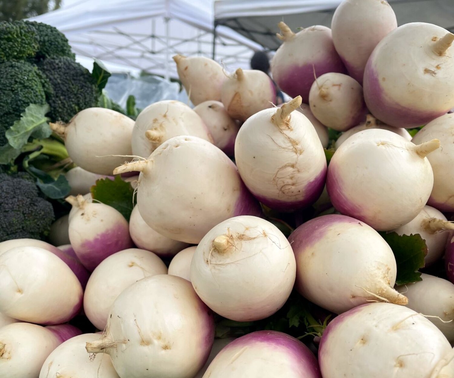 d9a47a1c 8d6c 0f79 c942 37b9320e63b4