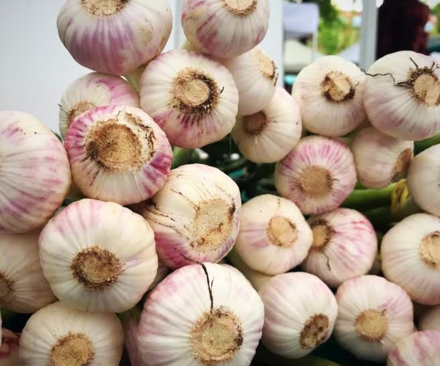 30ad958c 2d79 446c b61b 7912fef9436a