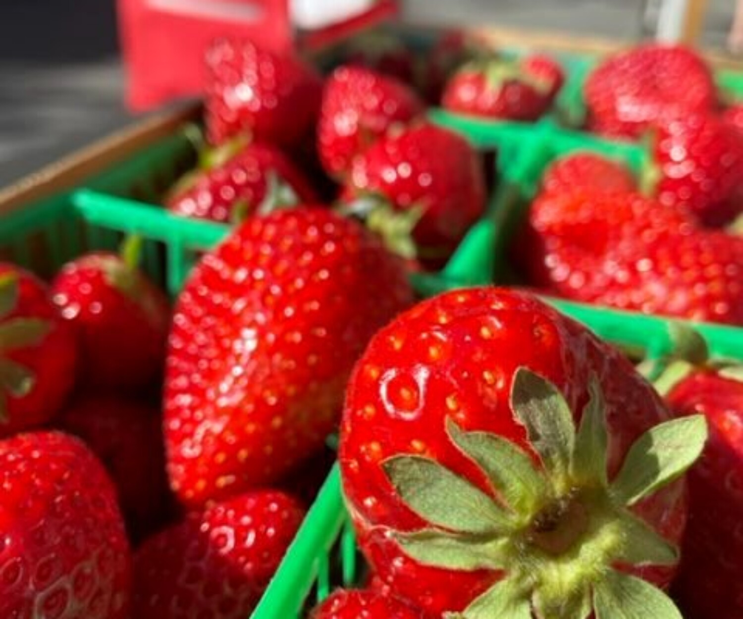 81e76736 9aee a114 3d46 67c20fa9b642