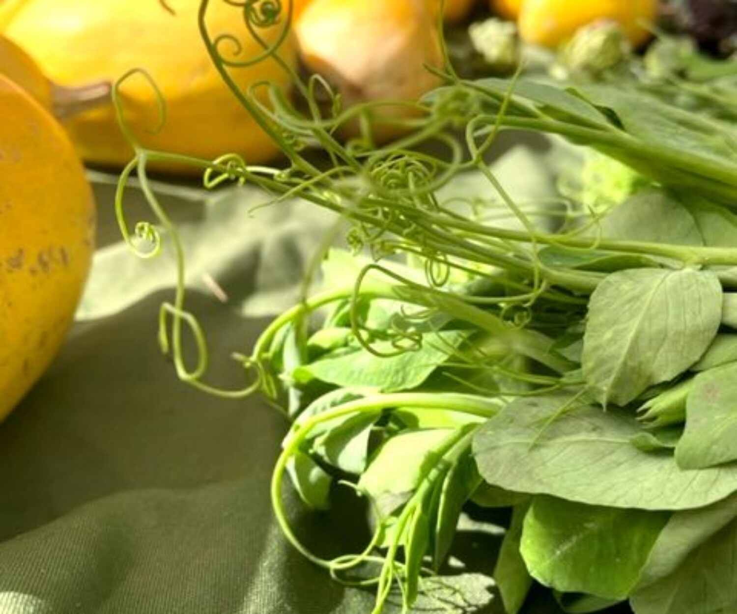 eef35510 382a 7d12 50d3 766838240e08