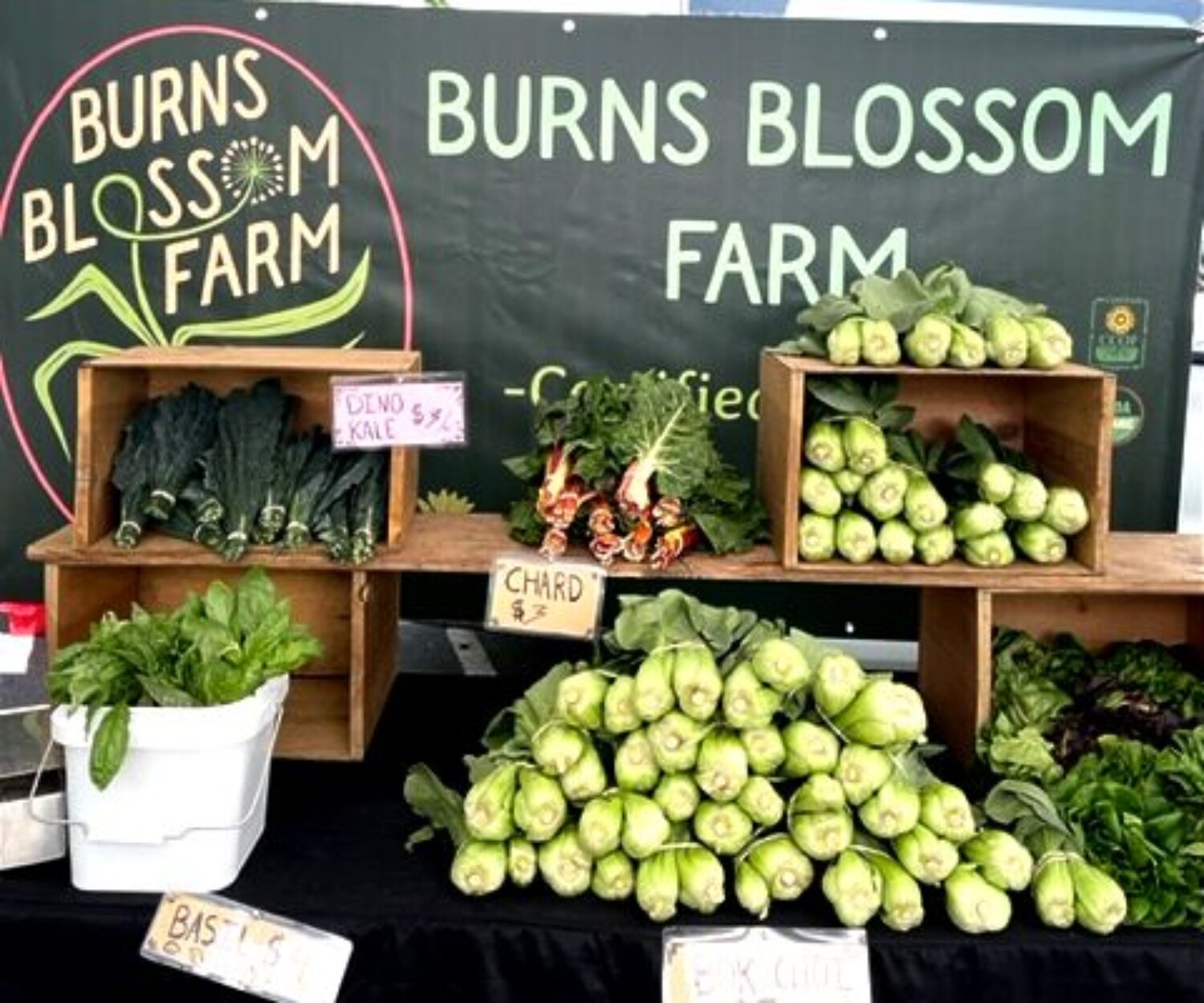 8cceaef0 561f d3ca 84fb a8419a7e1e22