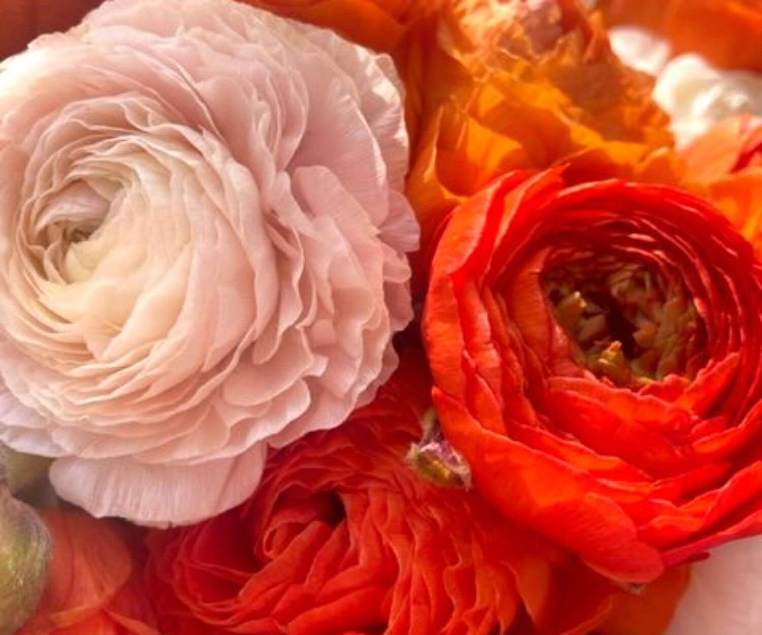 b7169d94 0b2a 10ba 3f1a 03214572f83d