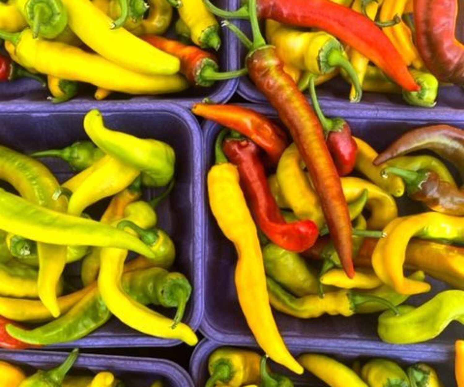 4e6f20e2 a877 2d3c eabb 194c4a8d8f85