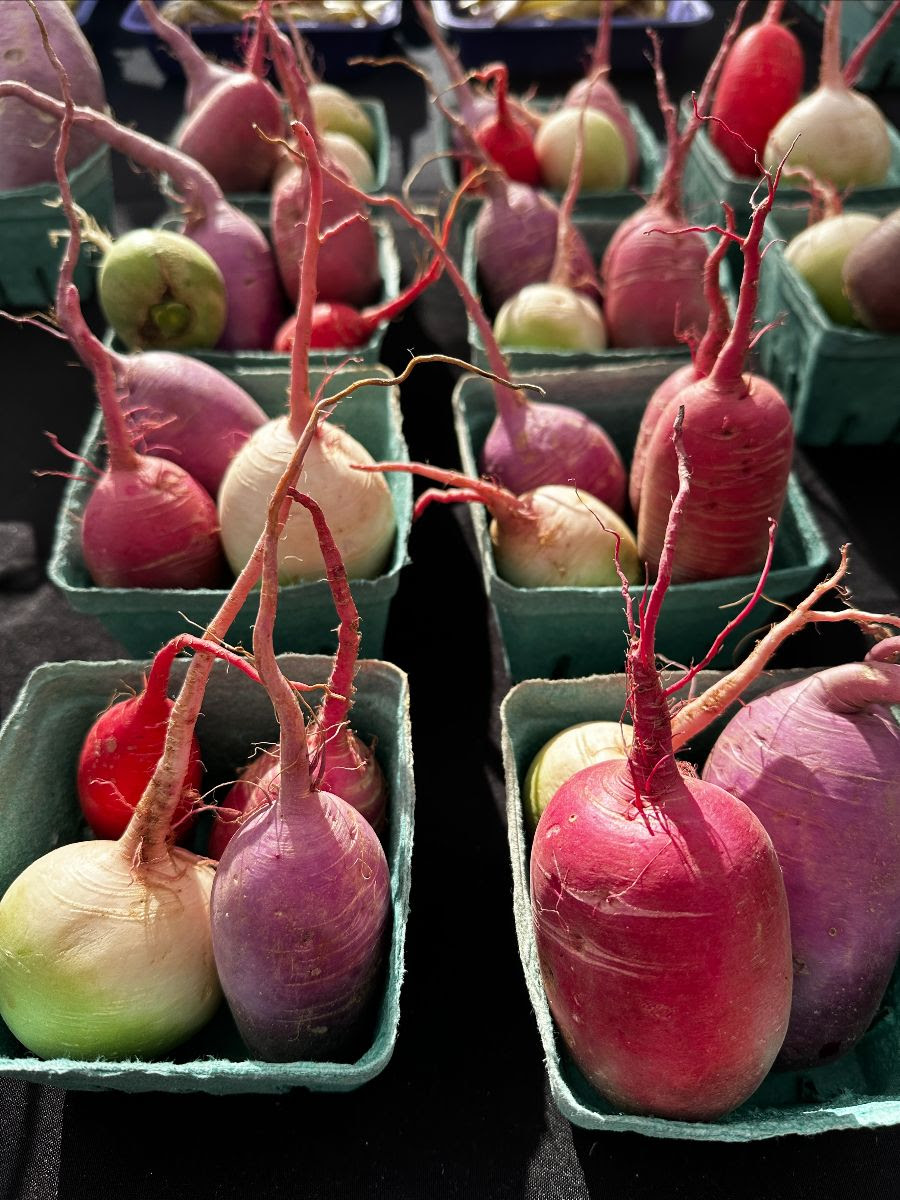 Market Fresh Finds: Radishes perfect for much more than garnish - The  Columbian