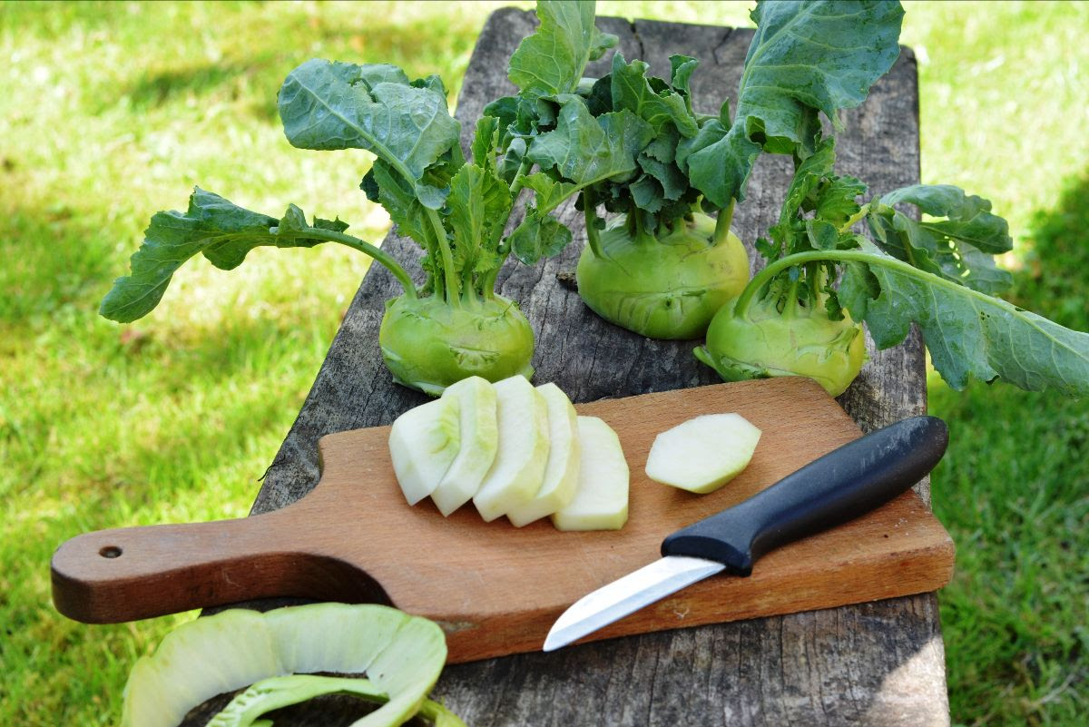 kohlrabi